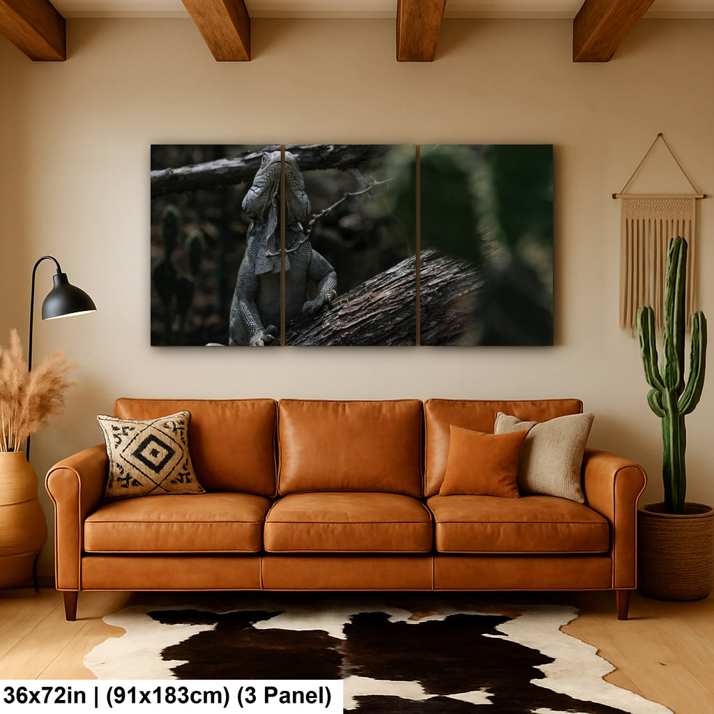 Iguana and cactus in Bonaire Washington Slagbaai National Park Photography Print