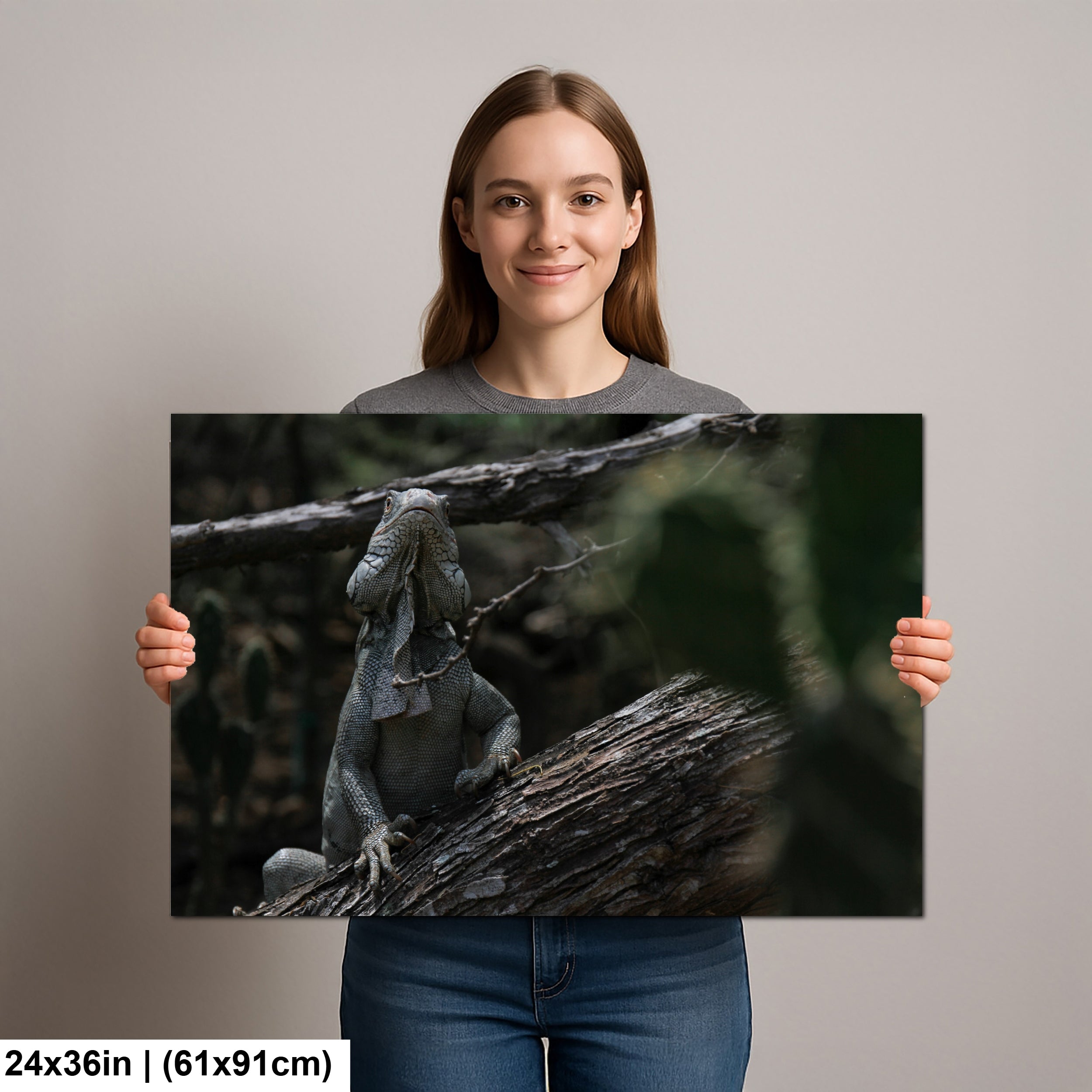 Iguana and cactus in Bonaire Washington Slagbaai National Park Photography Print