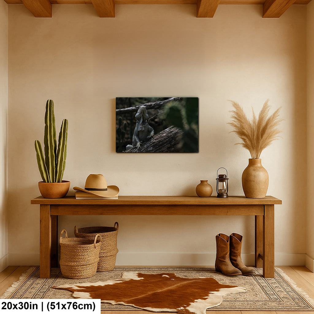 Iguana and cactus in Bonaire Washington Slagbaai National Park Photography Print