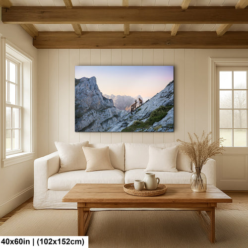 Mountain deers in Picos de Europa National Park, Spain, Asturias