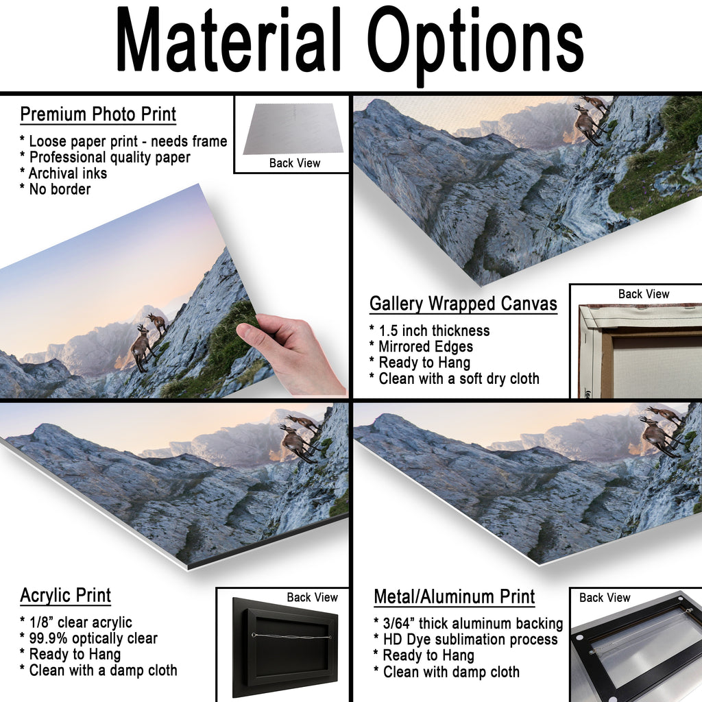 Mountain deers in Picos de Europa National Park, Spain, Asturias