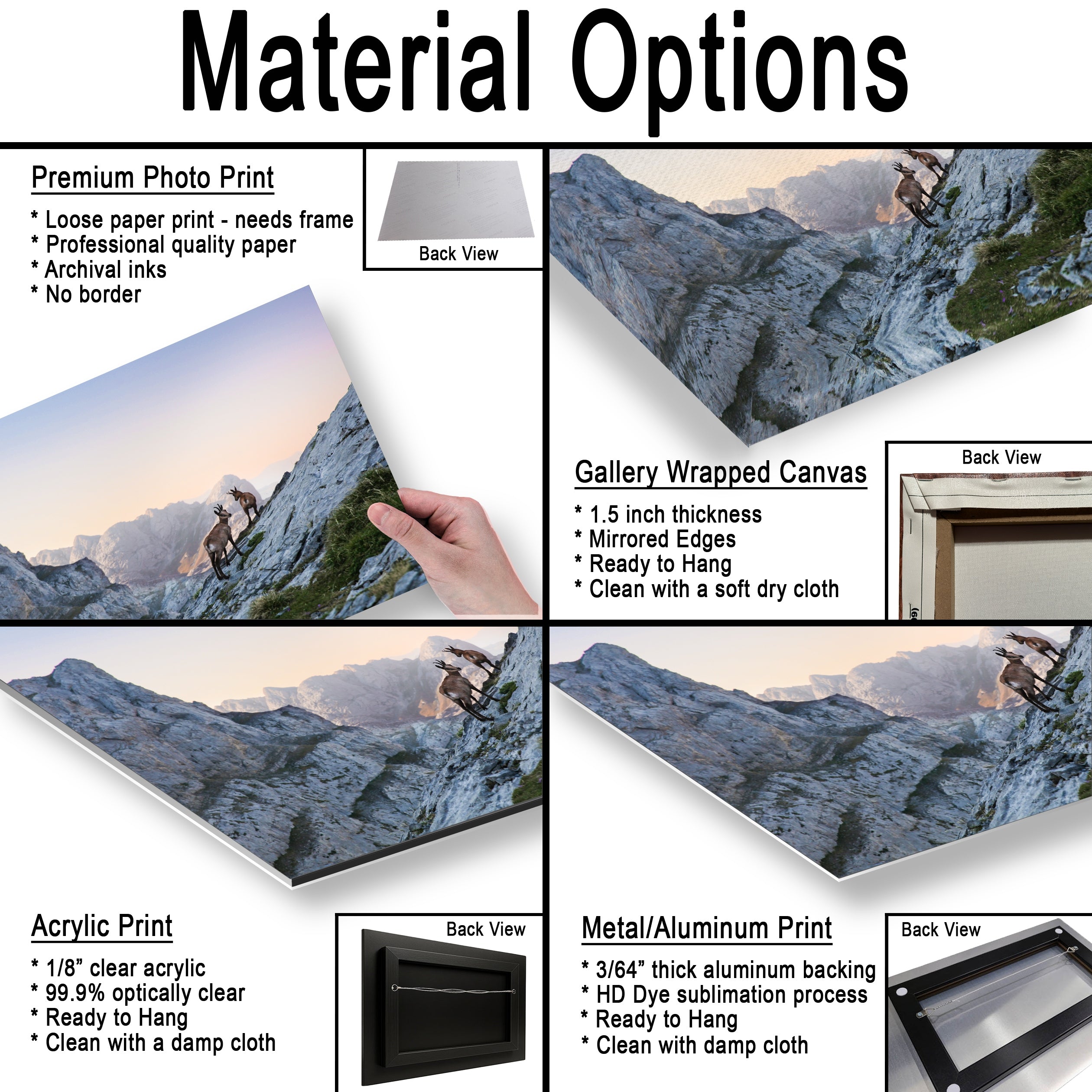 Mountain deers in Picos de Europa National Park, Spain, Asturias