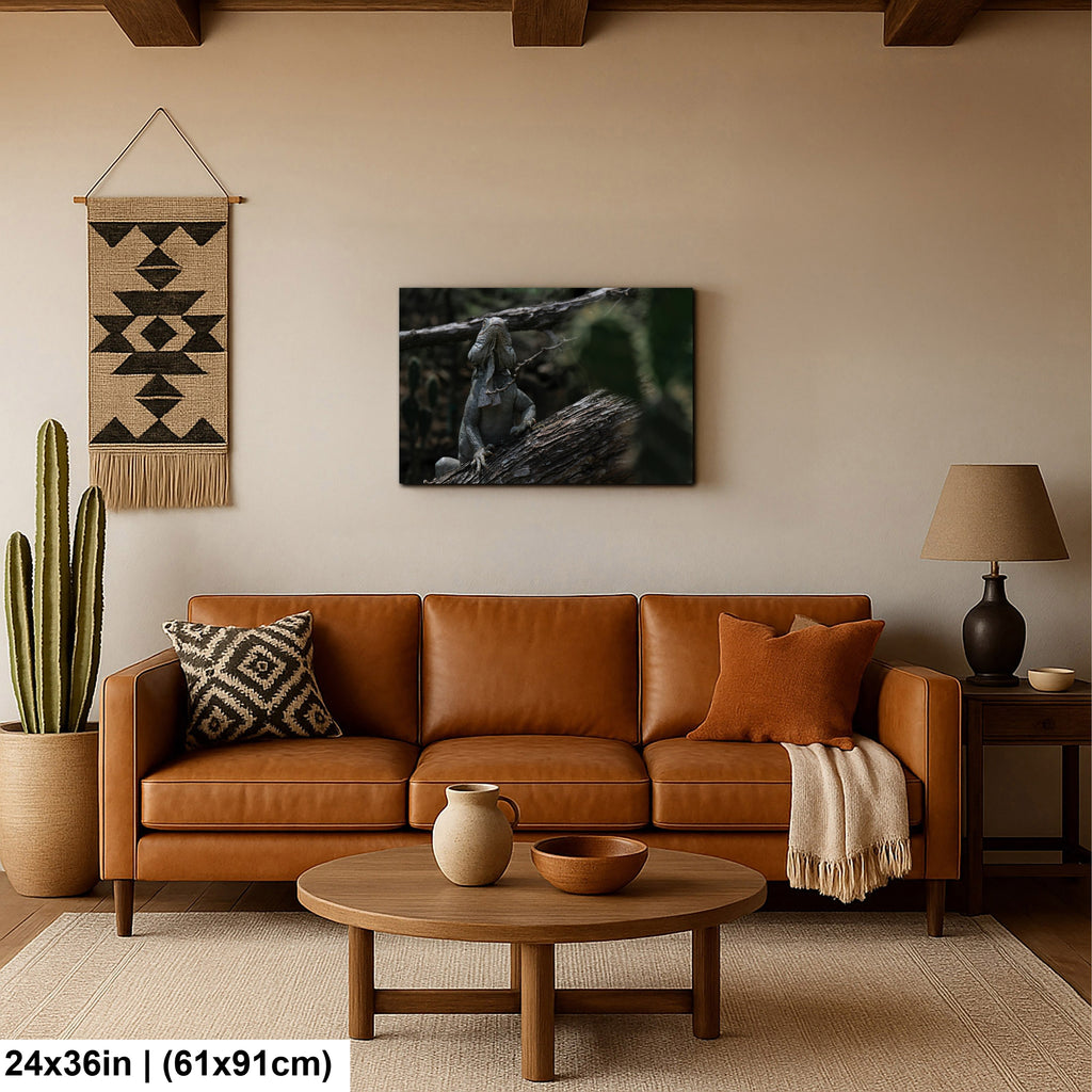 Iguana and cactus in Bonaire Washington Slagbaai National Park Photography Print