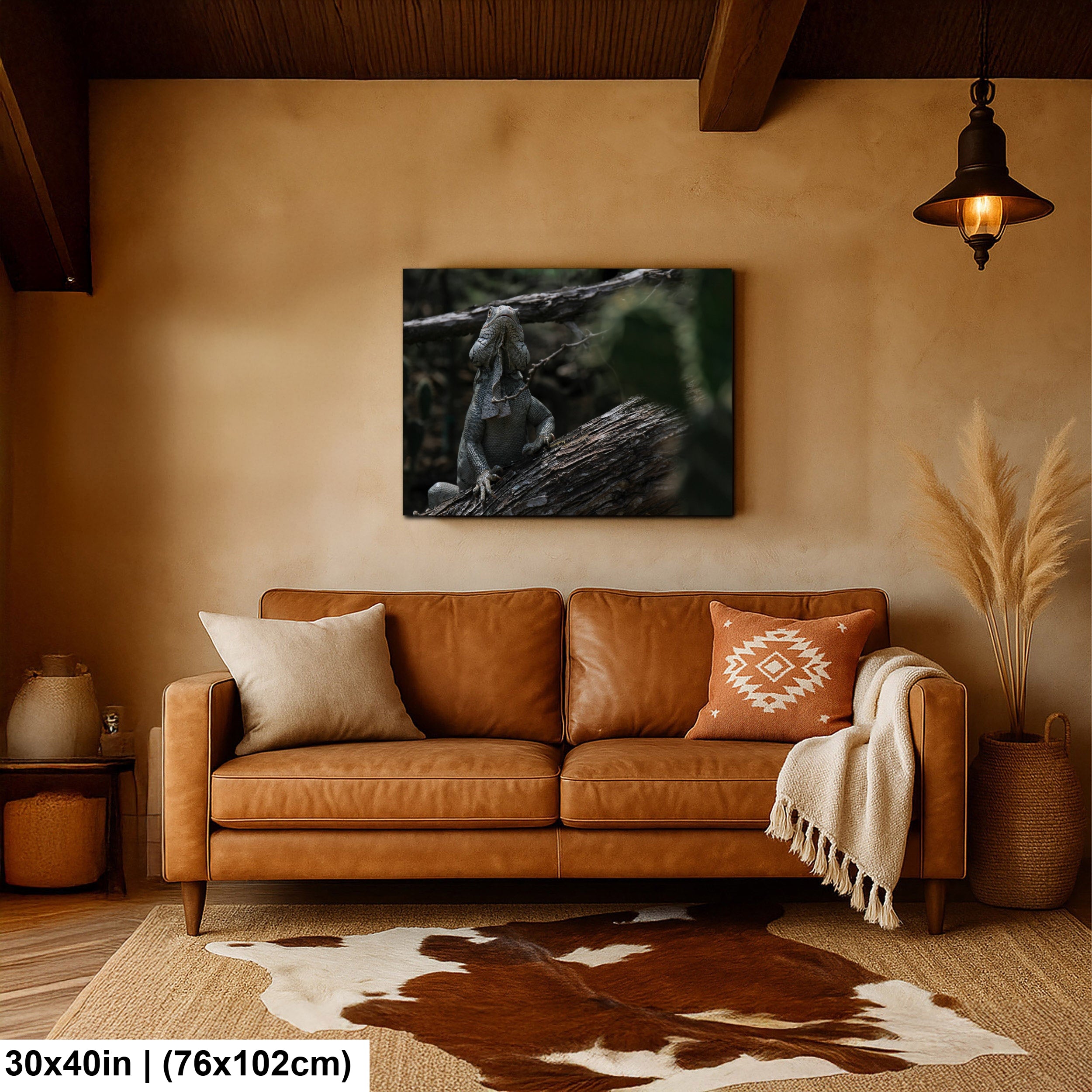 Iguana and cactus in Bonaire Washington Slagbaai National Park Photography Print