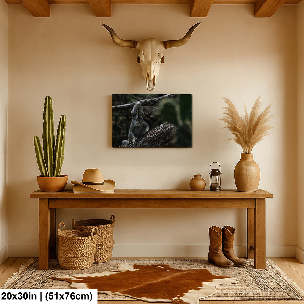Iguana and cactus in Bonaire Washington Slagbaai National Park Photography Print