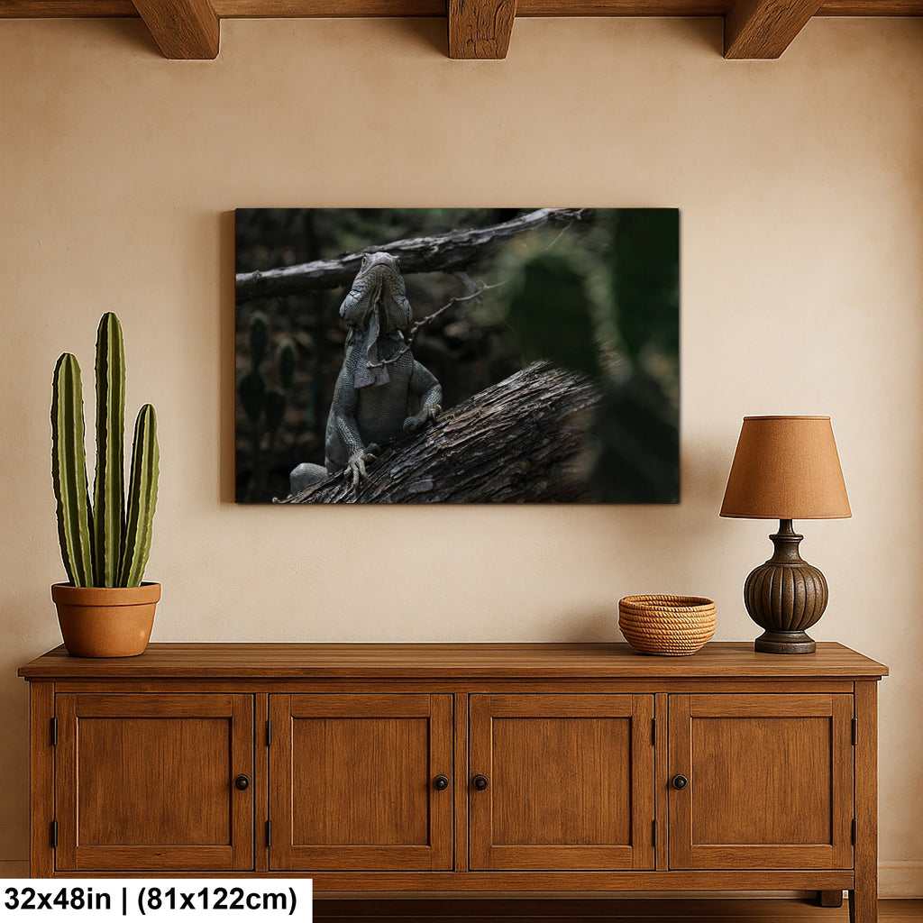 Iguana and cactus in Bonaire Washington Slagbaai National Park Photography Print