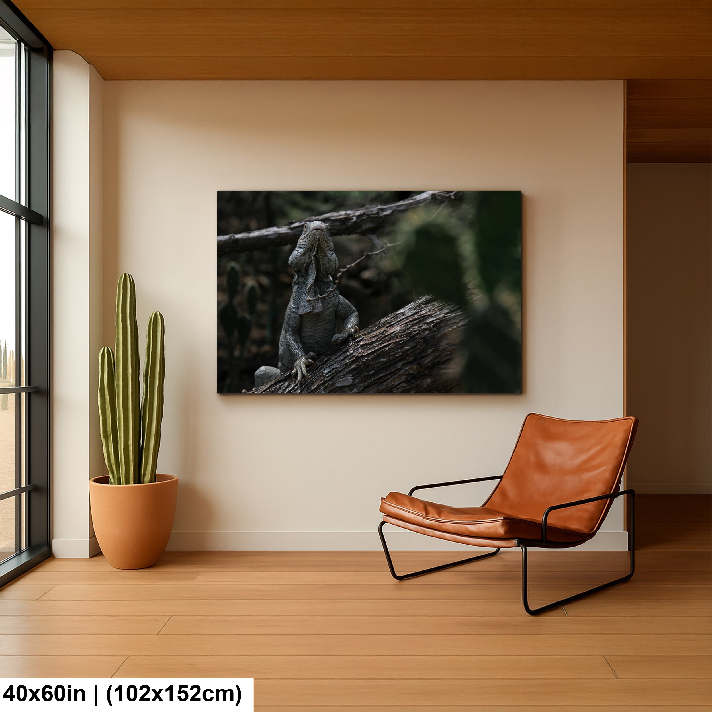 Iguana and cactus in Bonaire Washington Slagbaai National Park Photography Print